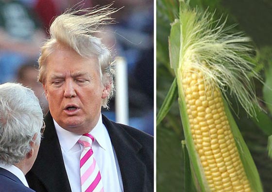 صور طريفة تظهر الوجه الآخر للرؤساء الأمريكيين صورة رقم 14 صور طريفة تظهر الوجه الآخر للرؤساء الأمريكيين صورة رقم 14