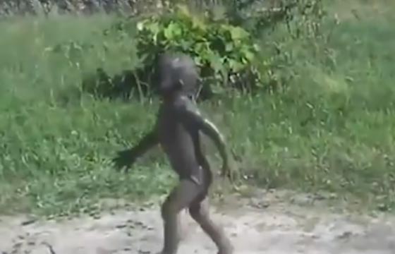 فيديو طريف.. رد فعل صادم لام لدى مشاهدة أطفالها الثلاثة ملطخين بالطين صورة رقم 2