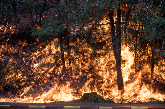  ���� ��� 4 - ��� ������� �� ������ ������� ��� ��� �� ������� ���� ���� ������ ��� �����