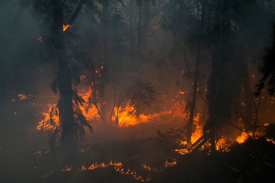  ���� ��� 10 - ��� ������� �� ������ ������� ��� ��� �� ������� ���� ���� ������ ��� �����