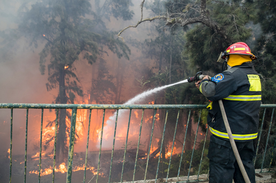  ���� ��� 11 - ��� ������� �� ������ ������� ��� ��� �� ������� ���� ���� ������ ��� �����