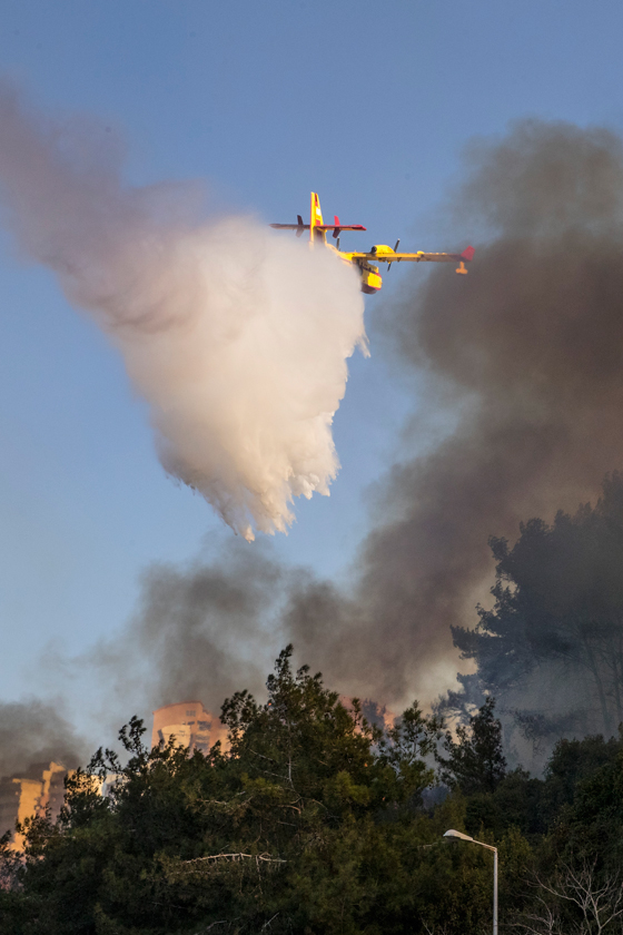  ���� ��� 12 - ��� ������� �� ������ ������� ��� ��� �� ������� ���� ���� ������ ��� �����