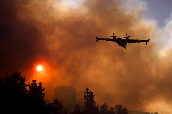  ���� ��� 1 - ��� ������� �� ������ ������� ��� ��� �� ������� ���� ���� ������ ��� �����