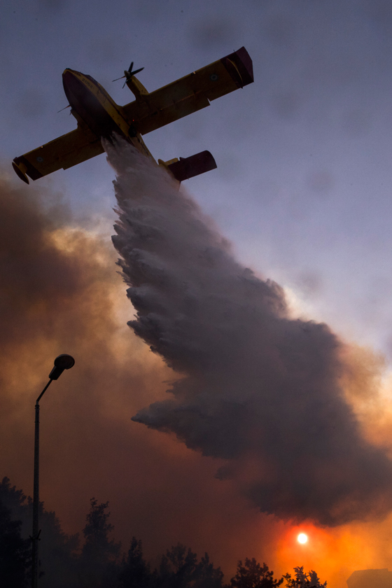  ���� ��� 13 - ��� ������� �� ������ ������� ��� ��� �� ������� ���� ���� ������ ��� �����