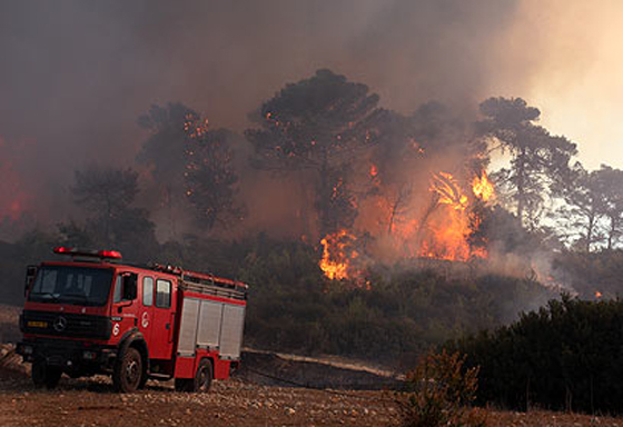  ���� ��� 15 - ��� ������� �� ������ ������� ��� ��� �� ������� ���� ���� ������ ��� �����