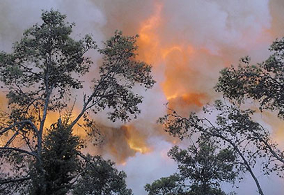  ���� ��� 17 - ��� ������� �� ������ ������� ��� ��� �� ������� ���� ���� ������ ��� �����