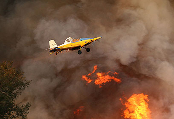  ���� ��� 24 - ��� ������� �� ������ ������� ��� ��� �� ������� ���� ���� ������ ��� �����