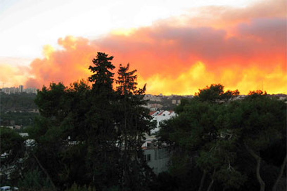  ���� ��� 29 - ��� ������� �� ������ ������� ��� ��� �� ������� ���� ���� ������ ��� �����