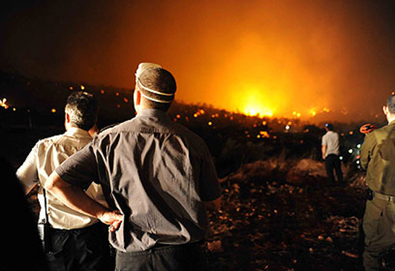  ���� ��� 31 - ��� ������� �� ������ ������� ��� ��� �� ������� ���� ���� ������ ��� �����