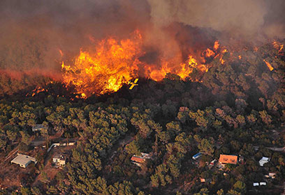  ���� ��� 32 - ��� ������� �� ������ ������� ��� ��� �� ������� ���� ���� ������ ��� �����