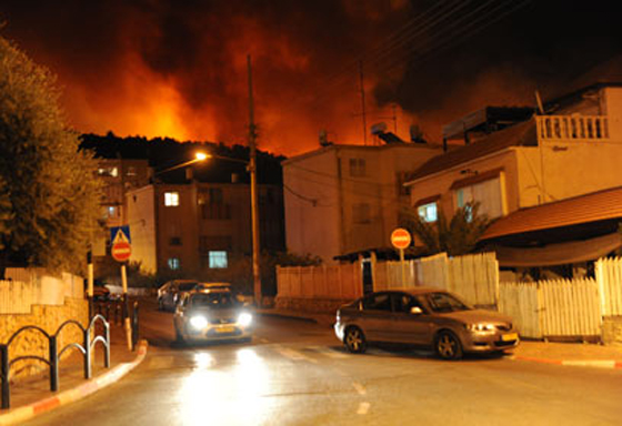  ���� ��� 33 - ��� ������� �� ������ ������� ��� ��� �� ������� ���� ���� ������ ��� �����