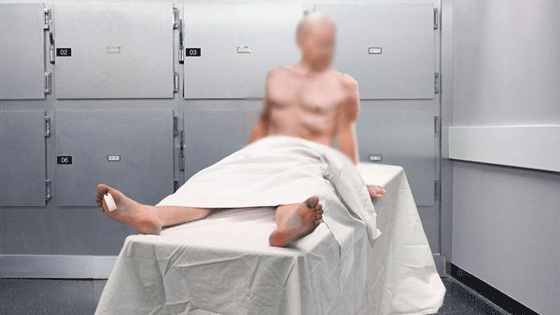 شاب بولندي يستيقظ في ثلاجة الموتى ويذهب الى نادي ليلي صورة رقم 1 شاب بولندي يستيقظ في ثلاجة الموتى ويذهب الى نادي ليلي صورة رقم 1