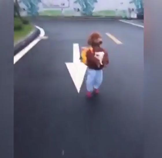 فيديو مدهش.. هذا هو اطرف طالب مدرسة على الاطلاق! صورة رقم 2 فيديو مدهش.. هذا هو اطرف طالب مدرسة على الاطلاق! صورة رقم 2