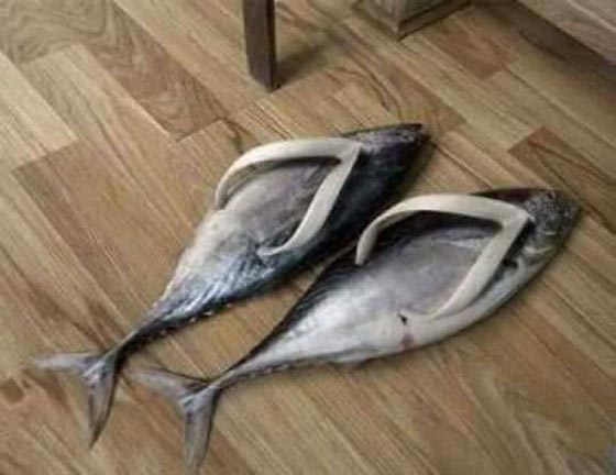 هل شاهدت من قبل اغرب من هذه الاحذية بتصاميمها العجيبة؟! صور صورة رقم 1 هل شاهدت من قبل اغرب من هذه الاحذية بتصاميمها العجيبة؟! صور صورة رقم 1