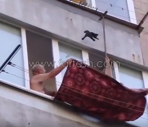 فيديو وصور.. هكذا تم انقاذ قطة علقت على اسلاك في بناية شاهقة صورة رقم 4 فيديو وصور.. هكذا تم انقاذ قطة علقت على اسلاك في بناية شاهقة صورة رقم 4