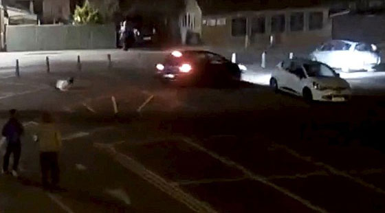 فيديو مروع.. سيارة تدهس رجلا وتطيح به ثم تدهسه مجددا عن عمد صورة رقم 4