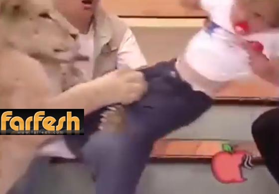 اسد يحاول افتراس طفلة على الهواء مباشرة.. فيديو مفزع صورة رقم 2 اسد يحاول افتراس طفلة على الهواء مباشرة.. فيديو مفزع صورة رقم 2