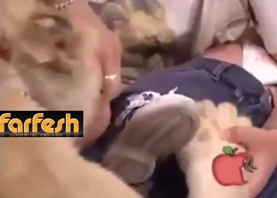 اسد يحاول افتراس طفلة على الهواء مباشرة.. فيديو مفزع صورة رقم 5 اسد يحاول افتراس طفلة على الهواء مباشرة.. فيديو مفزع صورة رقم 5
