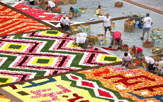 السعادة والسلام و600 الف زهرة على سجادة واحدة في بروكسيل صورة رقم 4 السعادة والسلام و600 الف زهرة على سجادة واحدة في بروكسيل صورة رقم 4