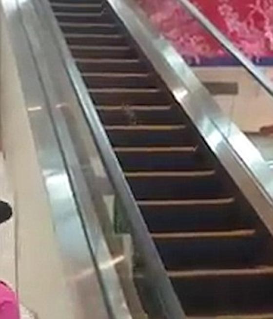 فيديو طريف يرصد معاناة فأر حاول صعود سلم متحرك الى اسفل صورة رقم 1
