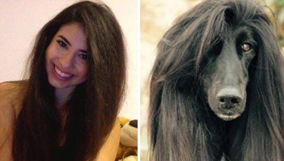 يخلق من الشبه اربعين.. كلاب في الصور تشبه البشر صورة رقم 11