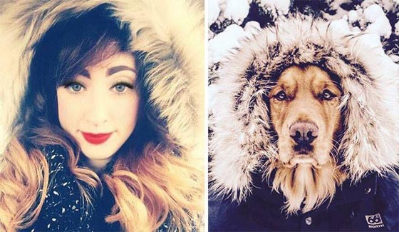 يخلق من الشبه اربعين.. كلاب في الصور تشبه البشر صورة رقم 13