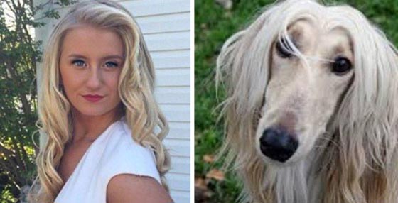 يخلق من الشبه اربعين.. كلاب في الصور تشبه البشر صورة رقم 14