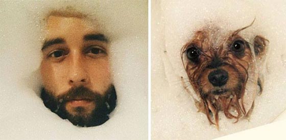 يخلق من الشبه اربعين.. كلاب في الصور تشبه البشر صورة رقم 19
