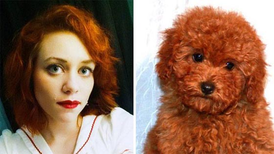 يخلق من الشبه اربعين.. كلاب في الصور تشبه البشر صورة رقم 22