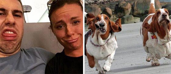يخلق من الشبه اربعين.. كلاب في الصور تشبه البشر صورة رقم 27