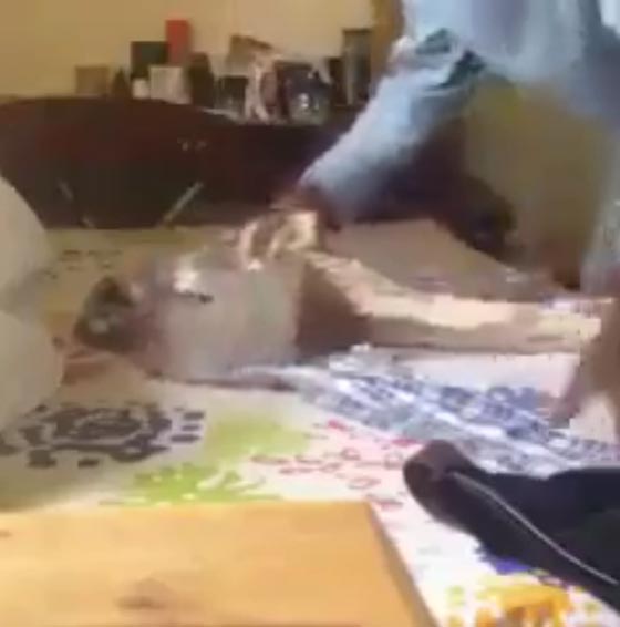 فيديو مثير لرجل يكوي ملابسه بوعاء معدني صورة رقم 3