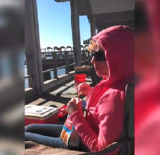 طائر يسرق الطعام من امرأة على طريقته الماكرة.. شاهده صورة رقم 1 طائر يسرق الطعام من امرأة على طريقته الماكرة.. شاهده صورة رقم 1