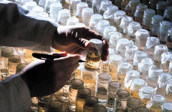 اخطاء وسلوكيات متهورة دمرت اشياء لا تقدر بثمن ونال اصحابها الشهرة! صورة رقم 2