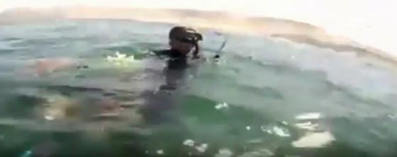 افراد عائلة ينقذون حوتا احدبا علق بشباك صياد في تشيلي.. فيديو صورة رقم 2
