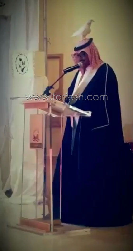 فيديو طريف.. حمامة تحط على رأس معلم وهو يلقي كلمة الوداع صورة رقم 2