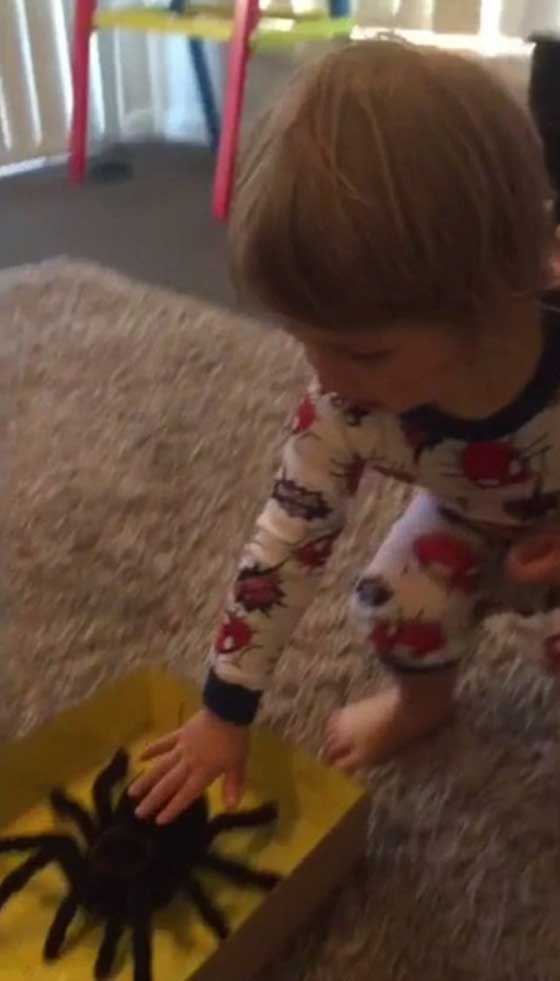 فيديو وصور.. شاهد هدية مرعبة كادت تصدم طفلا بدل ان تفرحه! صورة رقم 2