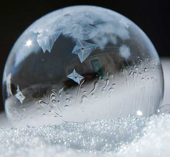 صور رائعة لتحول فقاعات سائلة إلى جليد صورة رقم 5