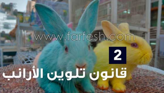 قوانين غريبة حول العالم يحاكم من يخالفها بعقوبات قاسية صورة رقم 2