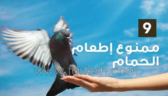 قوانين غريبة حول العالم يحاكم من يخالفها بعقوبات قاسية صورة رقم 9