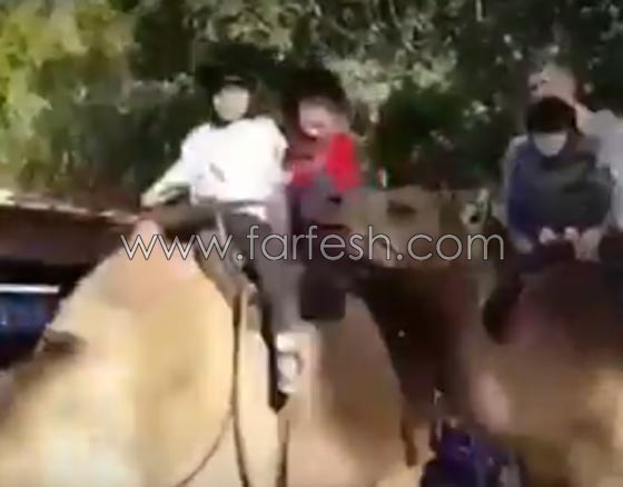 فيديو مرعب.. جمل يعض ساق طفل ويثير حالة فزع وخوف راكبي القافلة صورة رقم 3