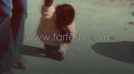 شاهد الغوريلا كوكو كيف تفهم لغة الاشارة وما تستطيع ان تفعله؟! صورة رقم 3