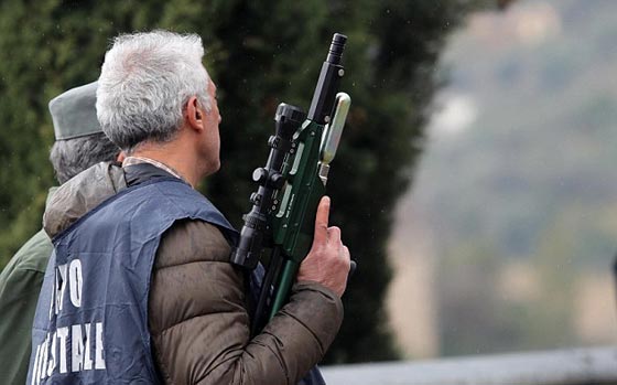شاهد عملية القبض على نمر خطير هرب من السيرك الى شوارع ايطاليا صورة رقم 9