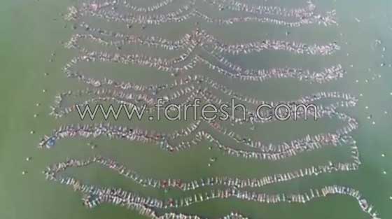 فيديو وصور: رقم قياسي جديد في الطفو الجماعي على سطح المياه صورة رقم 5
