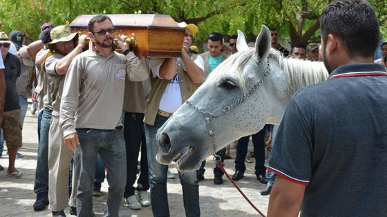 حصان يبكي وطيور تنتحر.. عادات حيوانات غريبة في البرازيل صورة رقم 7