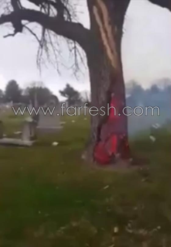 حدث غريب.. صاعقة تضرب شجرة في مقبرة وتحرقها من الداخل! صورة رقم 3