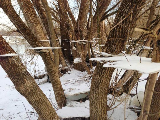  صور مذهلة من الصعب ان تصدق انها ليست فوتوشوب! صورة رقم 16