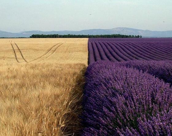 صور مذهلة من الصعب ان تصدق انها ليست فوتوشوب! صورة رقم 23