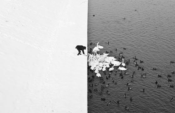  صور مذهلة من الصعب ان تصدق انها ليست فوتوشوب! صورة رقم 37