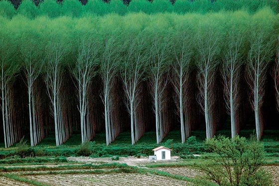  صور مذهلة من الصعب ان تصدق انها ليست فوتوشوب! صورة رقم 38