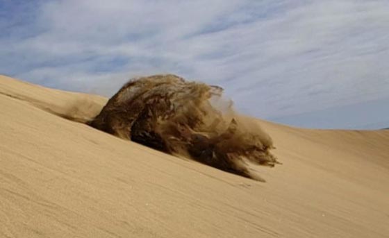  صور مذهلة من الصعب ان تصدق انها ليست فوتوشوب! صورة رقم 39